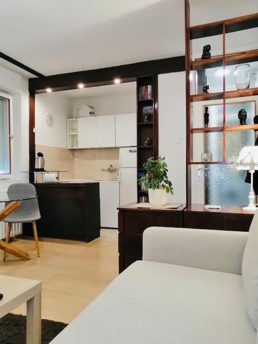 베오그라드 Dorcol Hideaway 아파트 외부 사진